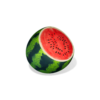 Ninja Raccoon Frenzy watermelon