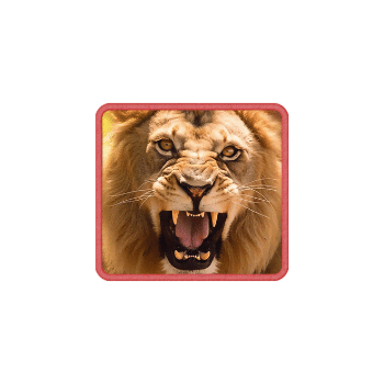 Safari Wilds สิงโต