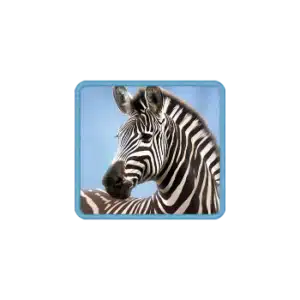 safari-wilds_symbol_h_zebra_a-300x300